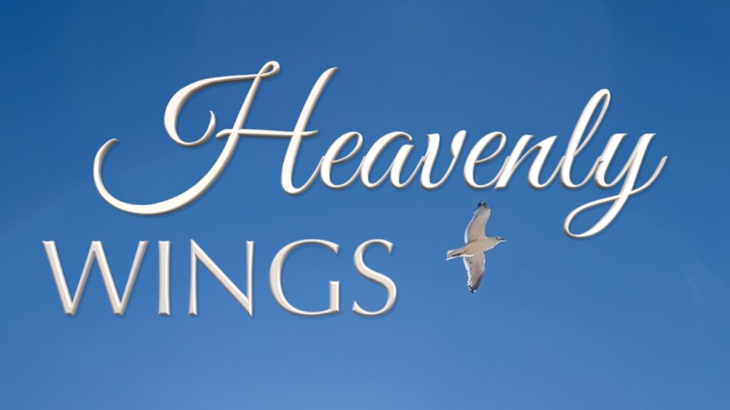 Heavenly Wings - Elika Mahony